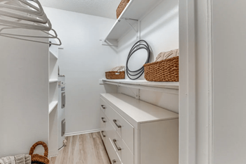 Fusion fort worth walk-in closet